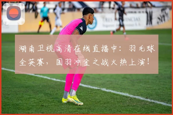 湖南卫视高清在线直播中:羽毛球全英赛,国羽冲金之战火热上演!