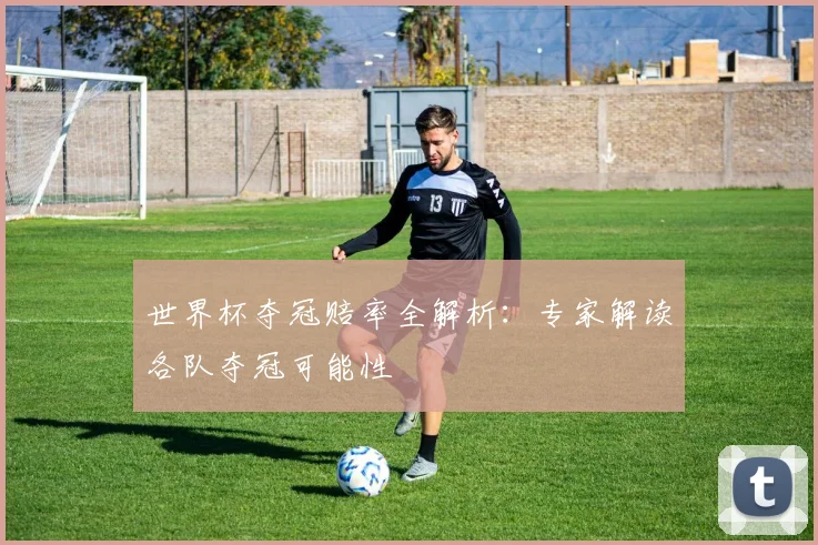 世界杯夺冠赔率全解析：专家解读各队夺冠可能性