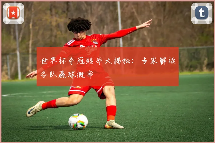 世界杯夺冠赔率大揭秘：专家解读各队赢球概率