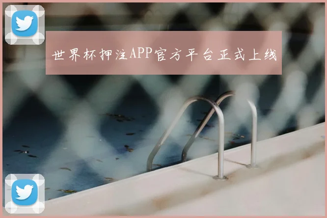 世界杯押注APP官方平台正式上线