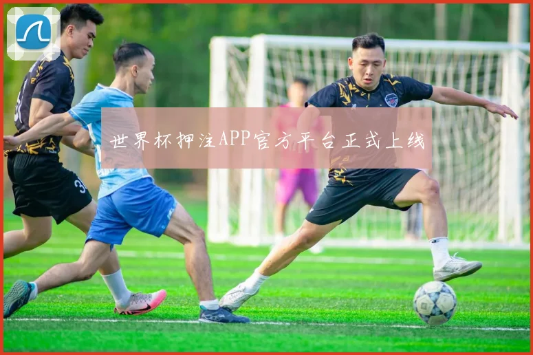 世界杯押注APP官方平台正式上线